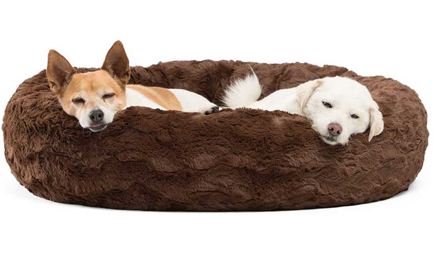 Bed For Dogs 