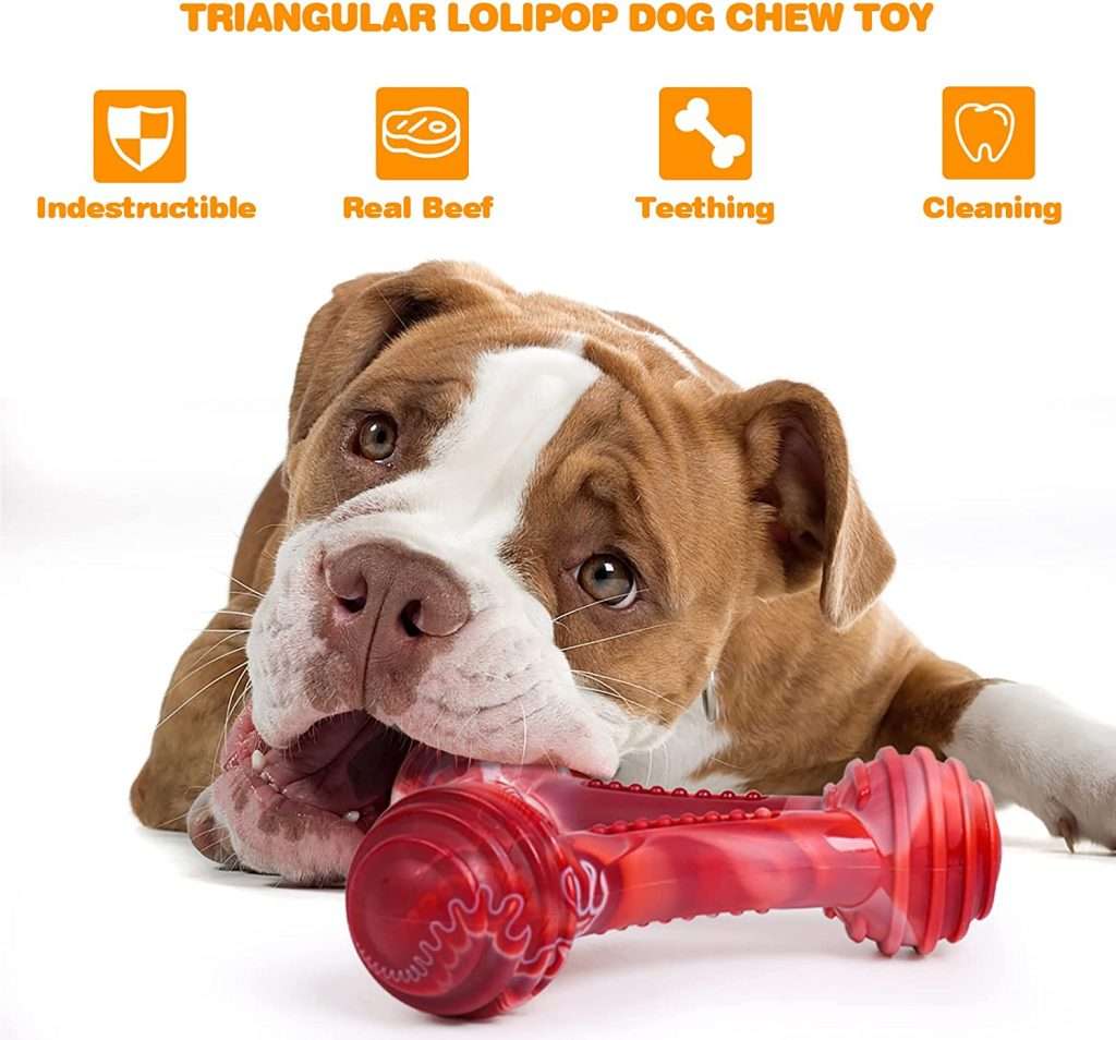 clawsable dog chew toy